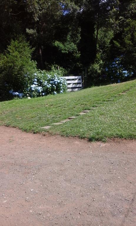 Bosque Del Lago Pucon Exterior photo