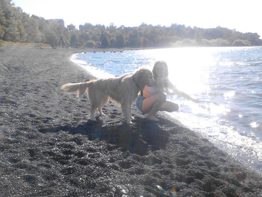 Bosque Del Lago Pucon Exterior photo